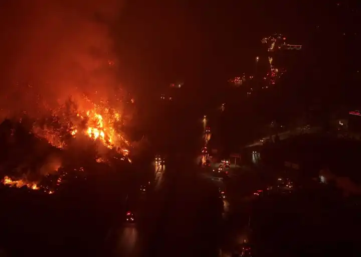 İzmir haber: Buca’da orman yangınına neden olan kişi tutuklandı