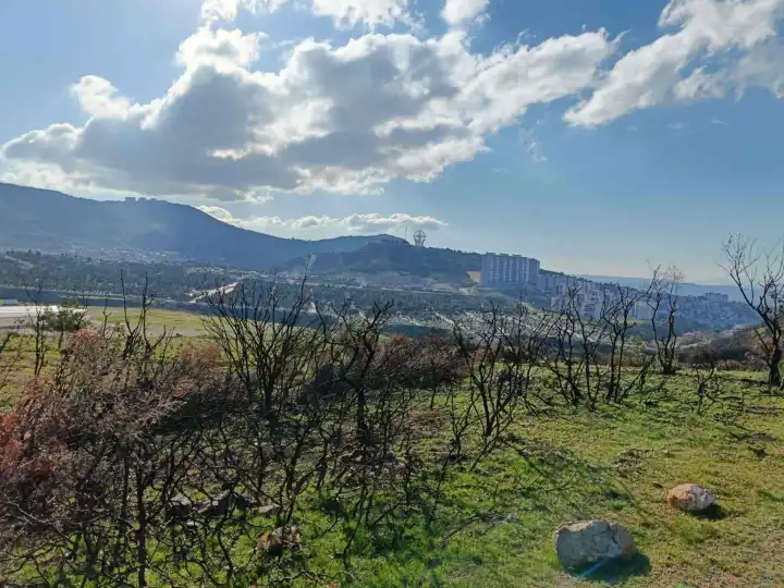 orman yangını