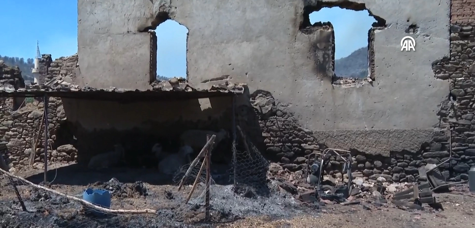 Yangında evini ve ahırını kaybetti, alevlerden kurtulan 4 ineği tesellisi oldu başlıklı video haberin görseli