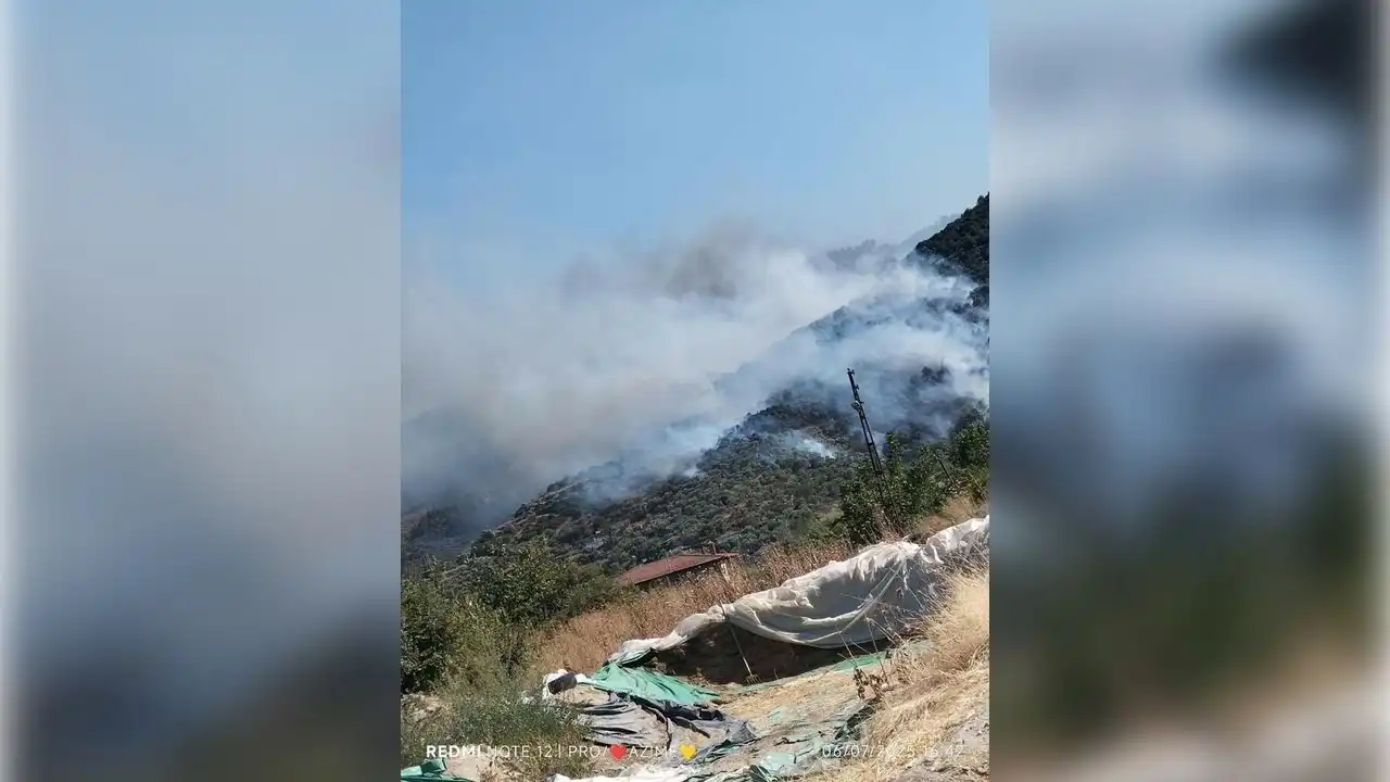 Aydın yanıyor! haberinin görseli