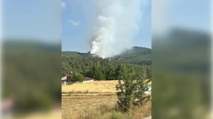Bolu'da orman yangını!