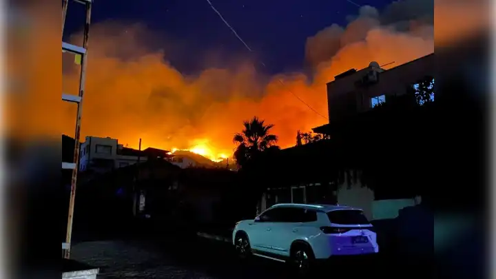 Hatay'daki orman yangınıyla ilgili 1 kişi gözaltında