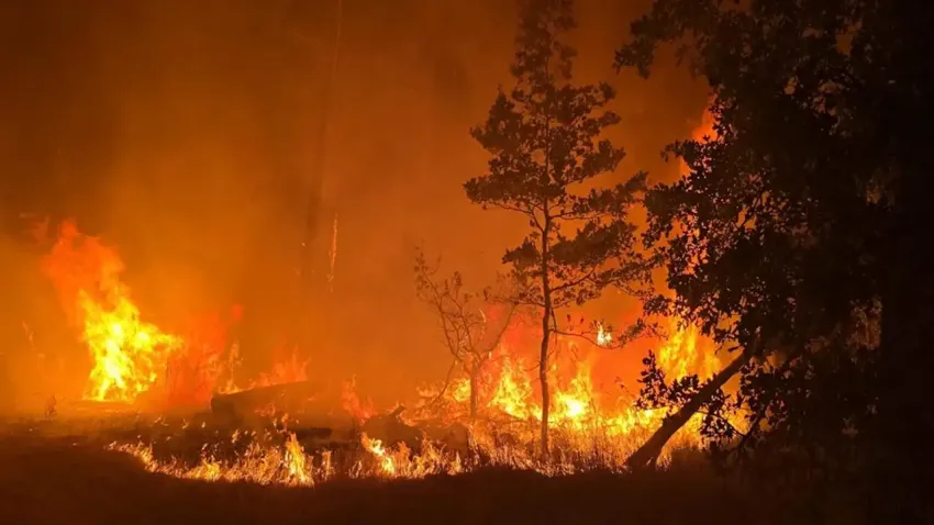 Almaya'da büyük yangın! haberinin görseli