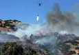 Aydın'da zeytinlik alanda yangın!