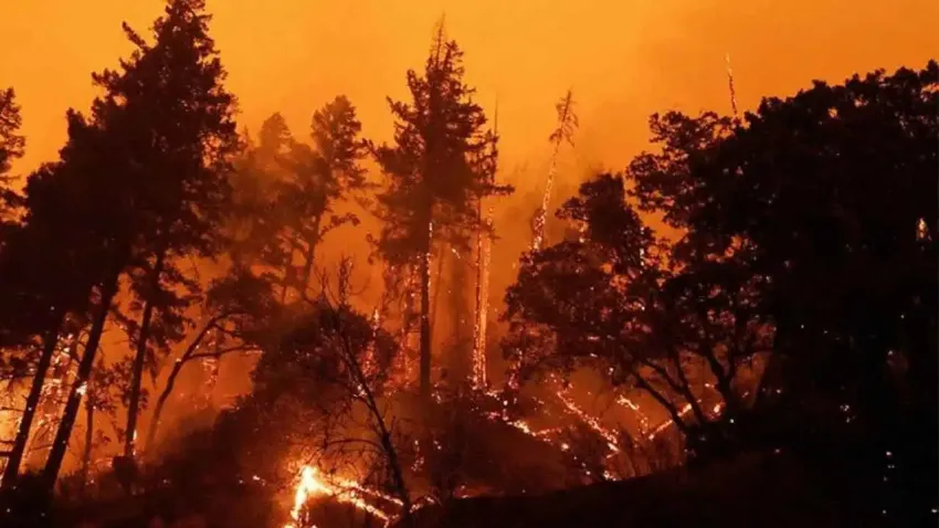 HAYTAP sahada: Her can bir umut, her müdahale bir yaşamdır