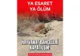 Hayvan hakları savunucuları ayakta: Zulüm değil, yaşam hakkı istiyoruz 