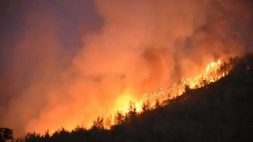 Küresel ısınma, ‘mega yangınlar’ı artırabilir haberinin görseli