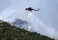 Orman yangınları konusunda uzmanı uyardı!