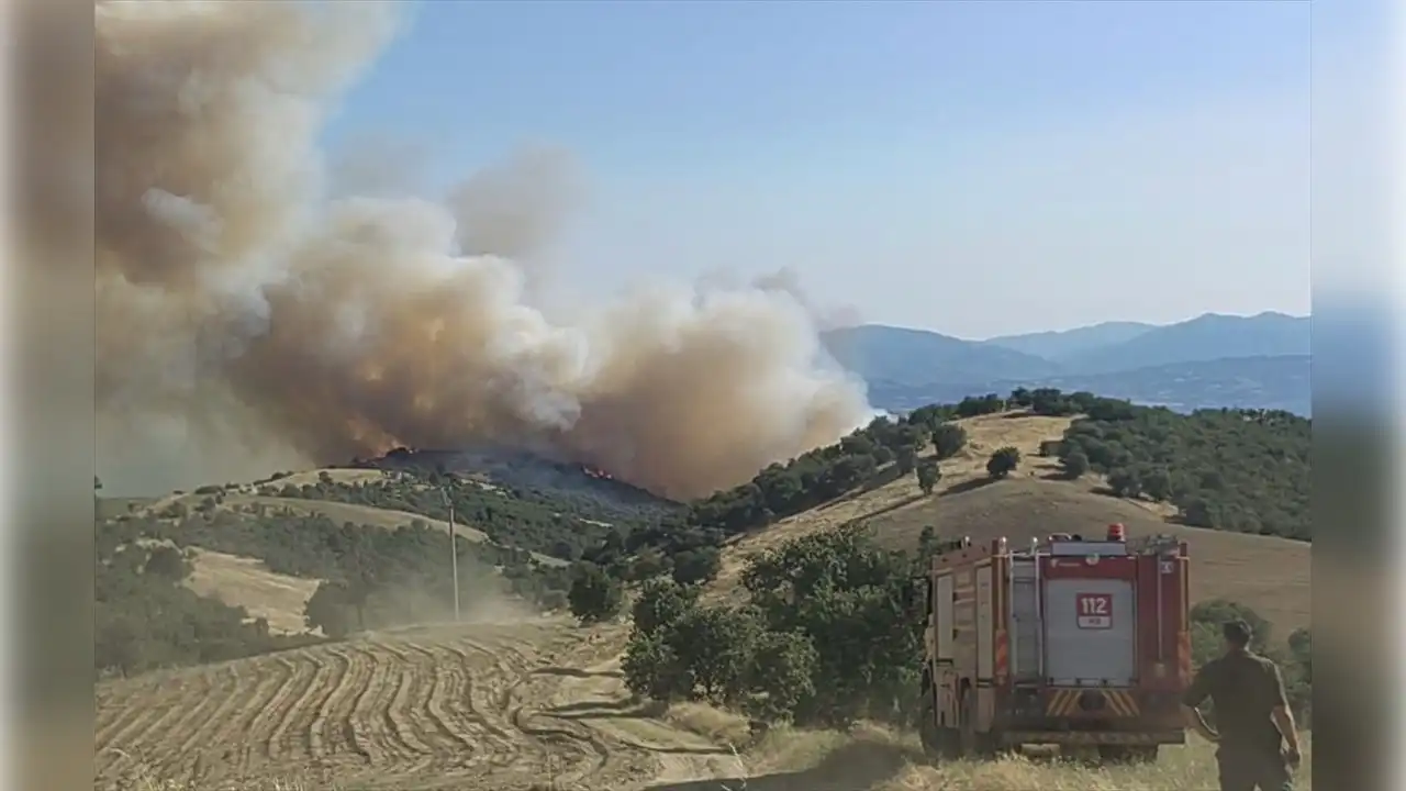 Manisa'da başlayan yangın Uşak'a sıçradı! haberinin görseli