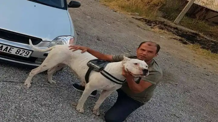 Oğlu ile tartışmanın sonucunda evlat katili oldu!