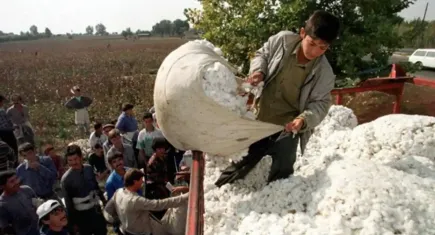 çocuk işçi