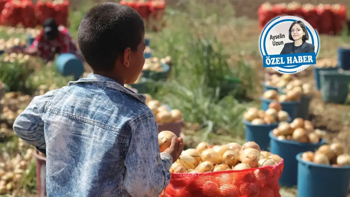 Haydi çocuklar fabrikaya haberinin görseli