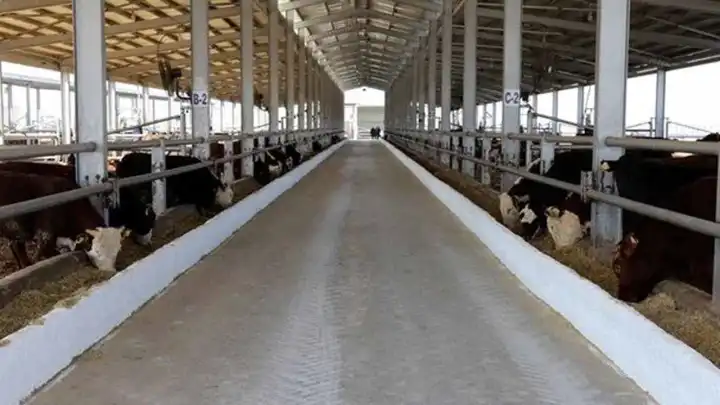 Tarım ve Orman Bakanlığı'ndan şap hastalığı açıklaması