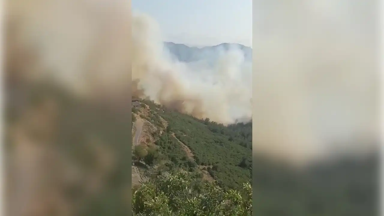 Bursa-Balıkesir sınırında orman yangını haberinin görseli