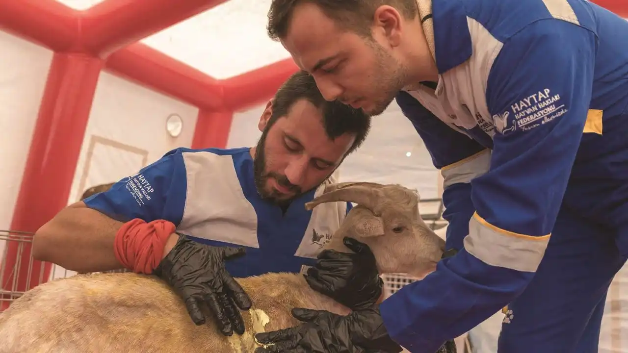 HAYTAP: Tüm gücümüzle canlarımızın yanında olmaya devam edeceğiz haberinin görseli