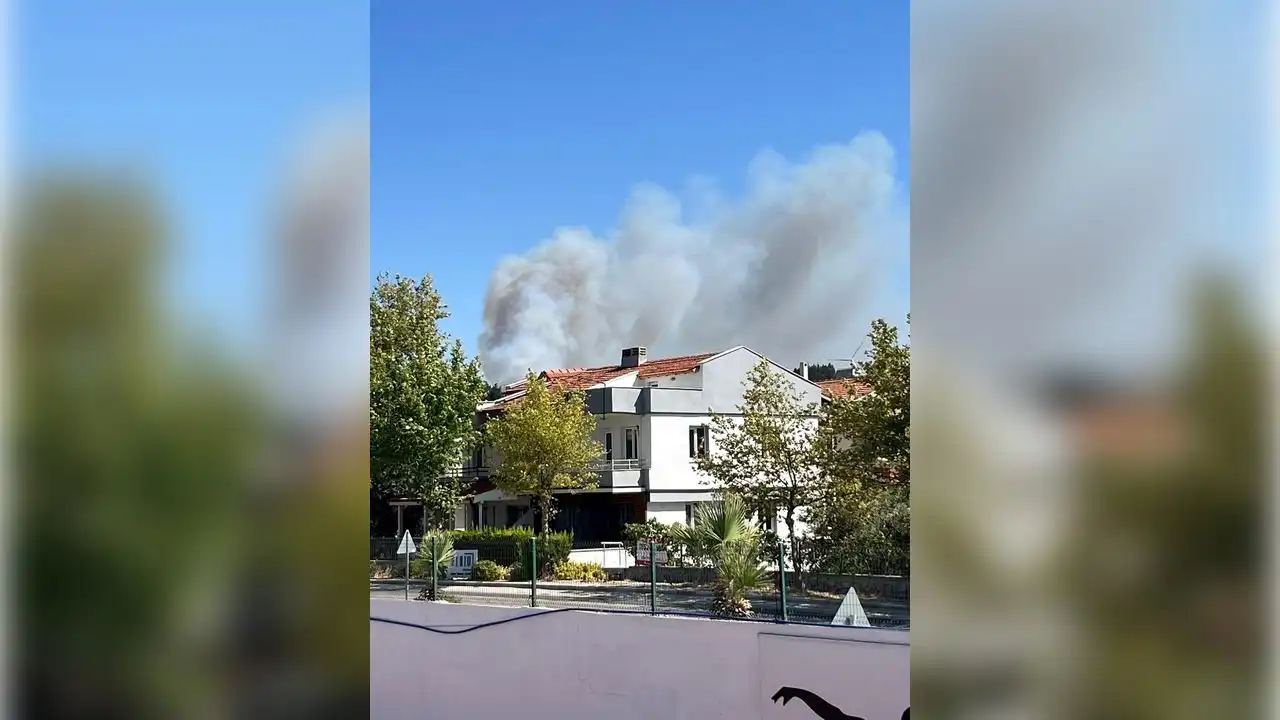 İzmir haber: Urla yanıyor! haberinin görseli