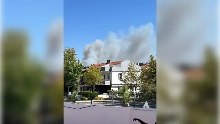 İzmir haber: Urla yanıyor!