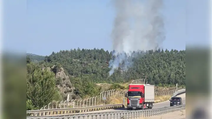 Tokat'ta orman yangını!