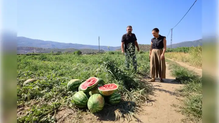 Başkan Sengel'den çiftçiye destek eli