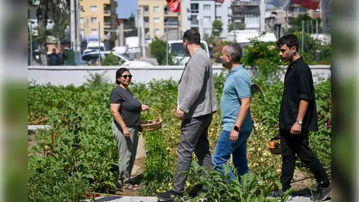 Bornova’da Kent Bostanları’nda hasat sevinci haberinin görseli