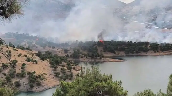 Adıyaman'da orman yangını! Alevler rüzgarla büyüdü!