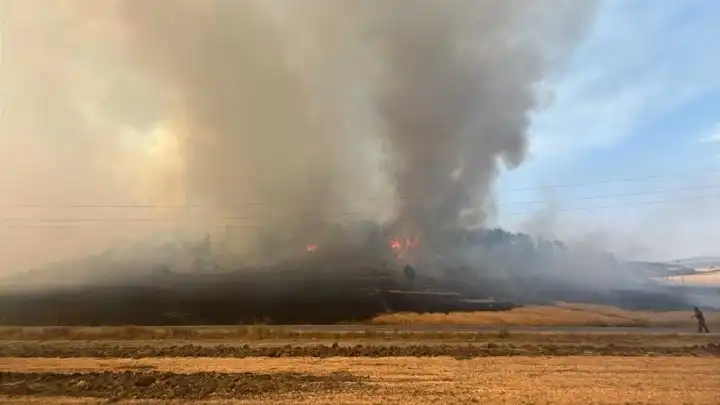 Bolu’da tarım arazisinde çıkan yangın ormana sıçradı