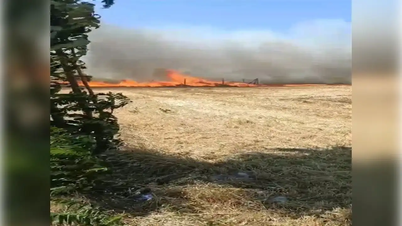 Buğday tarlasında çıkan yangın söndürüldü haberinin görseli