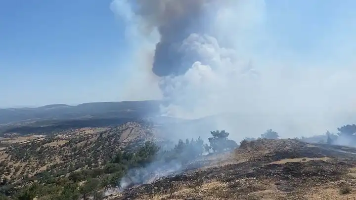 Çanakkale Ayvacık’ta orman yangını