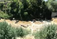 Bakanlık, Denizli Büyükşehir Belediyesi&#039;ne ceza kesti!