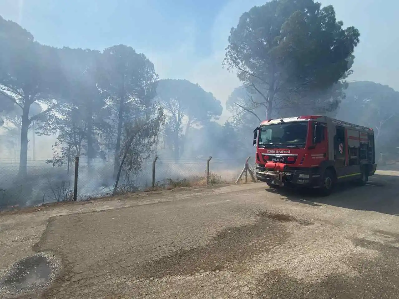 İzmir haber: Bergama'daki orman yangını kontrol altına alındı haberinin görseli