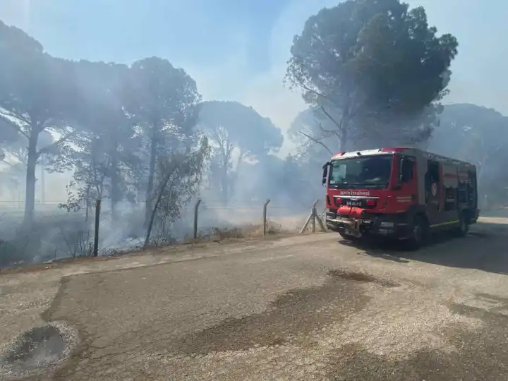 İzmir haber: Bergama'da anız yangını ormana sıçradı