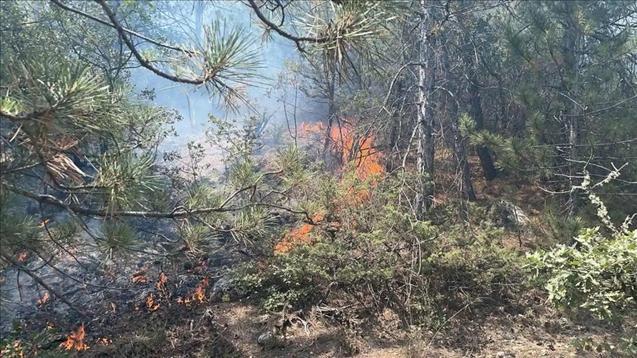Bolu'da çıkan orman yangını kontrol altına alındı haberinin görseli