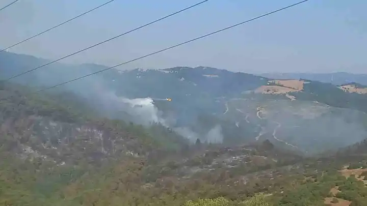 yangın