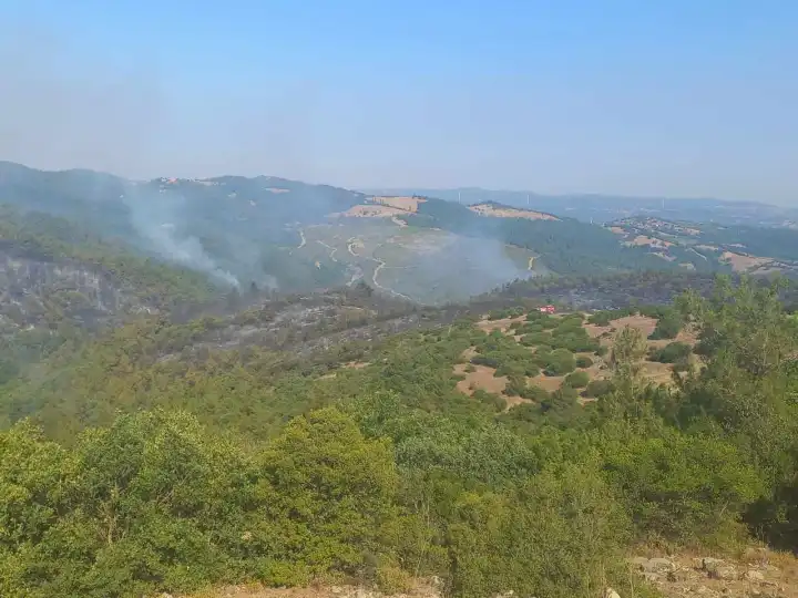 Balıkesir’de orman yangını 29 saatte kontrol altına alındı