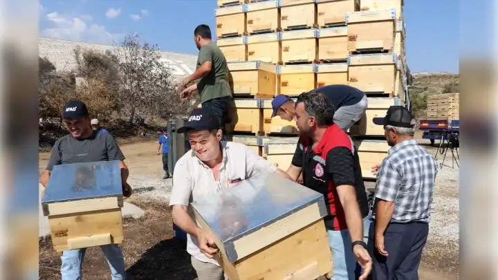İzmir'de yaralar sarılıyor:  Yeni hayvan ve kovan dağıtımı başladı