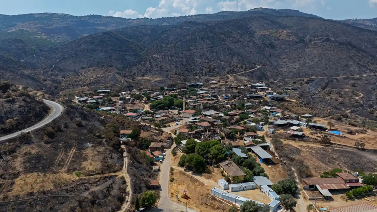 İzmir’deki yangınlar sonrası yaralar sarılıyor haberinin görseli