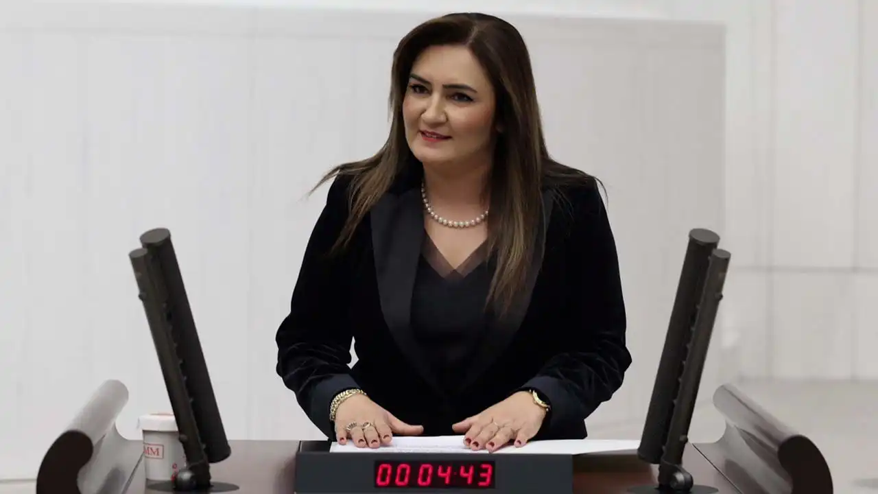 Sevda Erdan Kılıç: Çocuk emeği sermayeye peşkeş çekilemez haberinin görseli