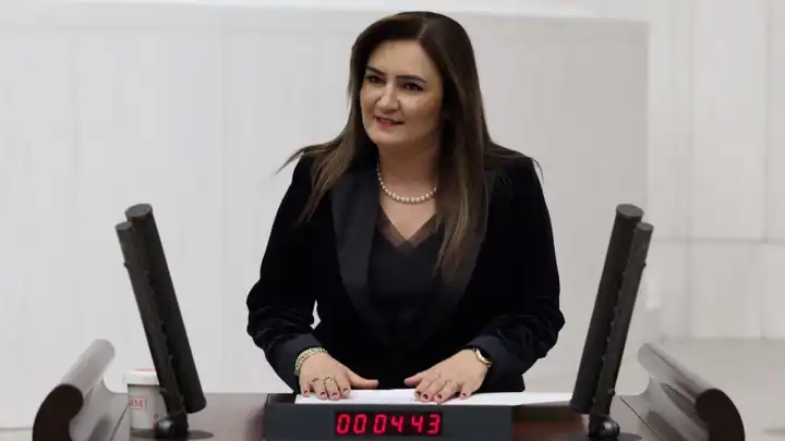 Sevda Erdan Kılıç: Çocuk emeği sermayeye peşkeş çekilemez