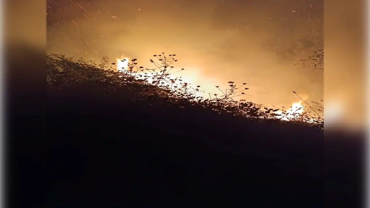 Bolu'da orman yangını haberinin görseli