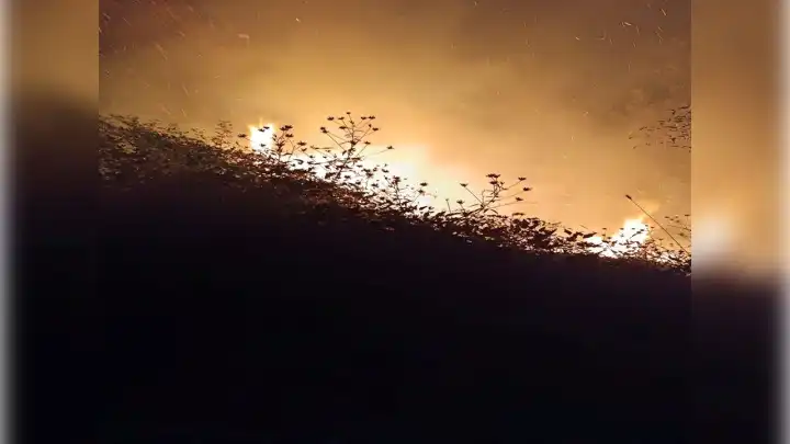Bolu'da orman yangını