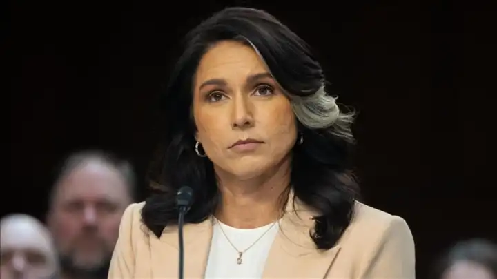 Gabbard’dan şok iddia: 2016 seçimlerini etkileyen ihanet komplosu açığa çıktı