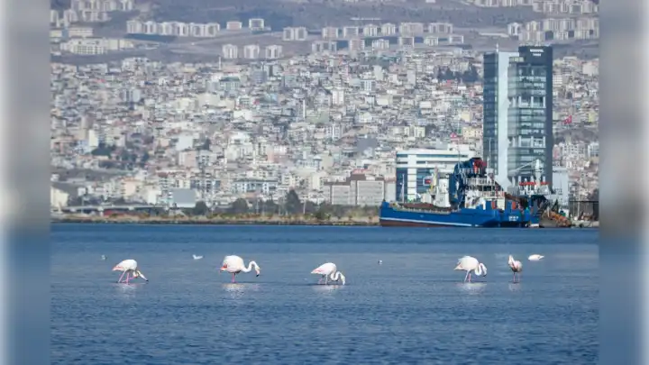 İzmir’de gündem iklim kriziyle mücadele 