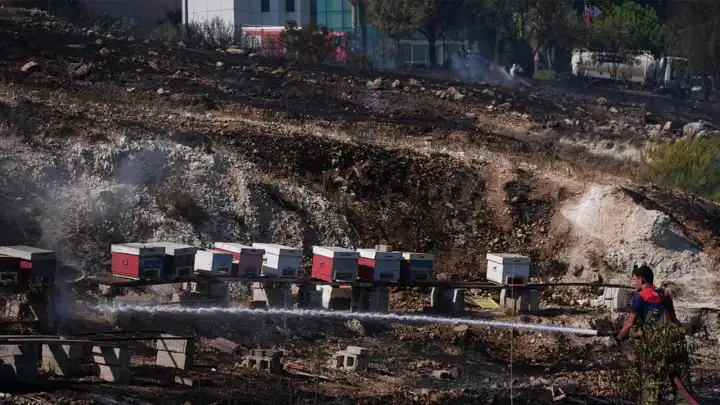 İzmir haber: Buca'daki yangın kontrol altında!