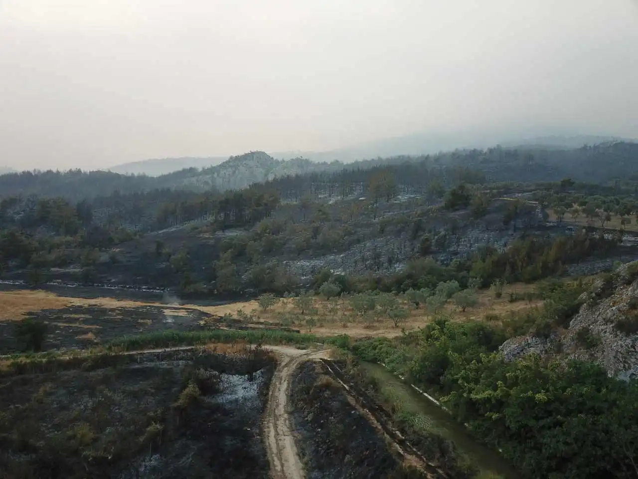 Sakarya'da ormanlık alanda çıkan yangın Bilecik'e ulaştı haberinin görseli