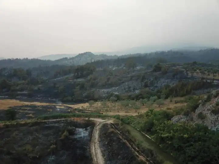 Sakarya'da ormanlık alanda çıkan yangın Bilecik'e ulaştı