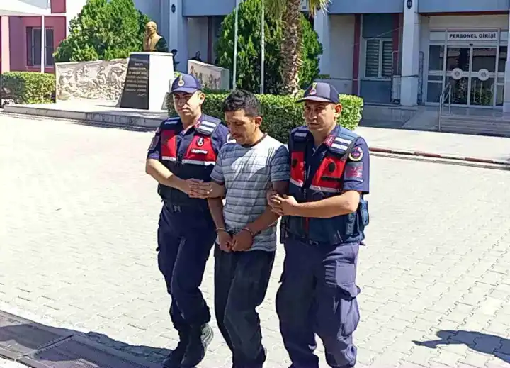 Aydın’da orman yangınını çıkardığını itiraf eden kişi tutuklandı
