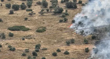 Bayındır'da zeytinlikte çıkan yangın kontrol altında