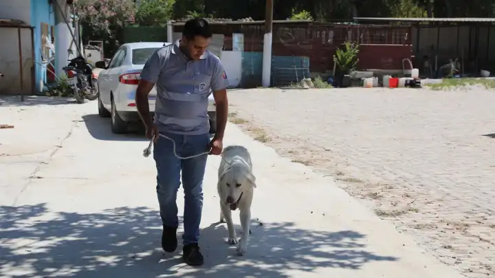 Efes Selçuk Belediyesi’nden duyarlı çağrı: Satın alma sahiplen
