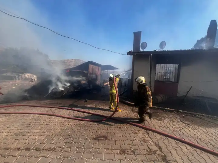 İzmir Bayındır’da ot yangını paniği: Mahalle tahliye edildi, bir kişi yaralandı