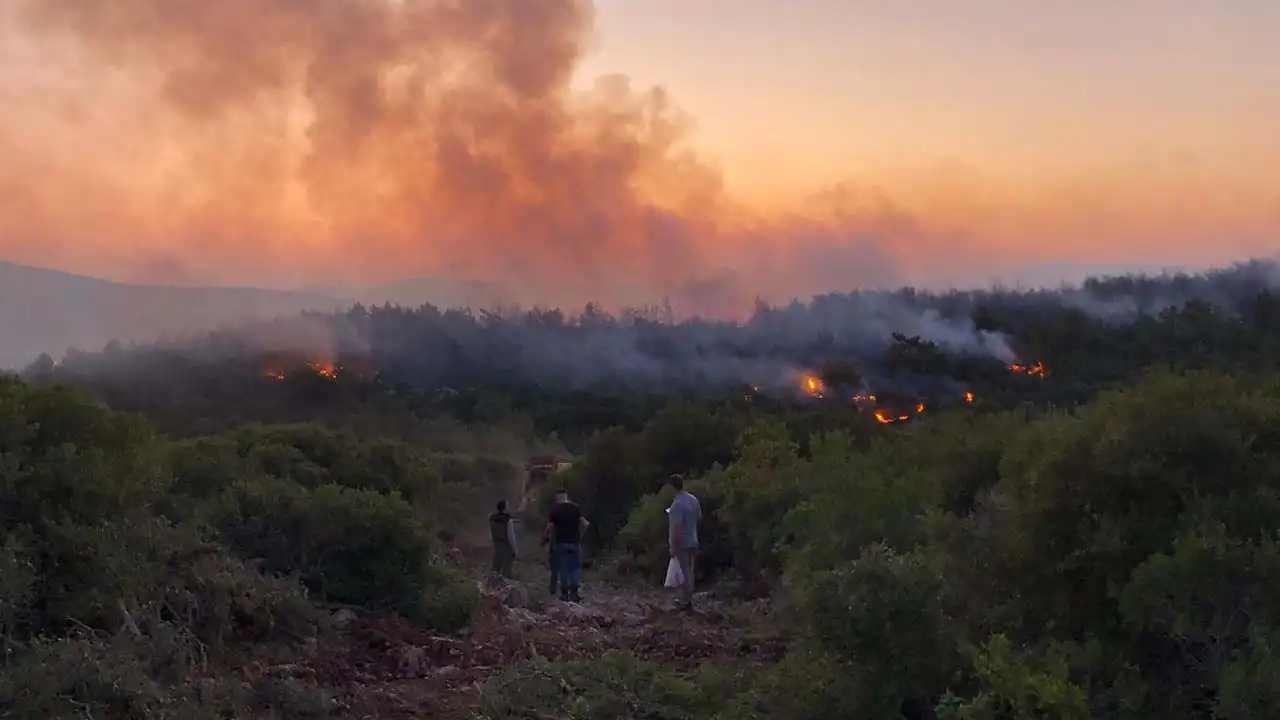 İzmir haber: Urla'daki orman yangını büyük mücadele ile kontrol altında!